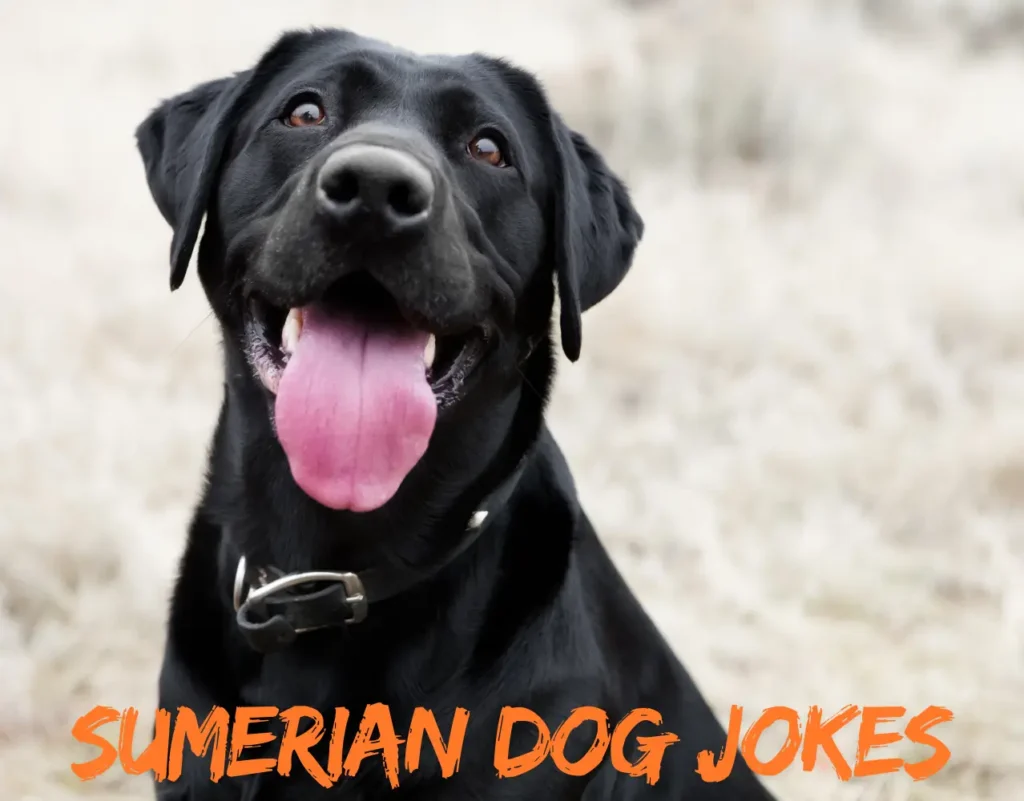 Sumerian Dog Jokes