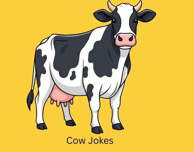 Cow Jokes