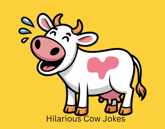 Hilarious Cow Jokes