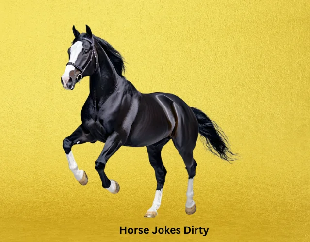 Best Horse Jokes for a Galloping Good Time 8 Horse Jokes Dirty