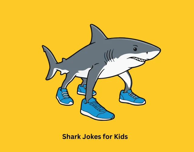 Shark Jokes for Kids
