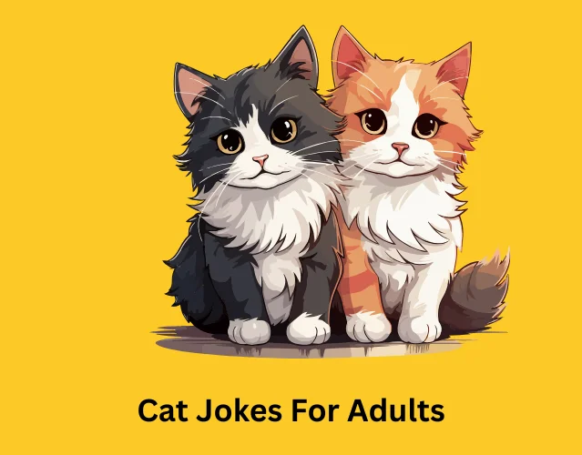 Cat Jokes For Adults