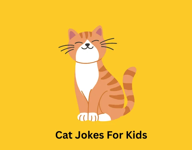 Cat Jokes For Kids