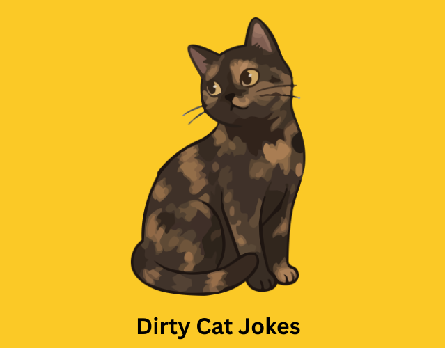 Dirty Cat Jokes
