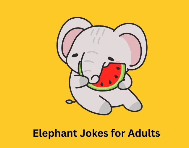 Elephant Jokes for Adults