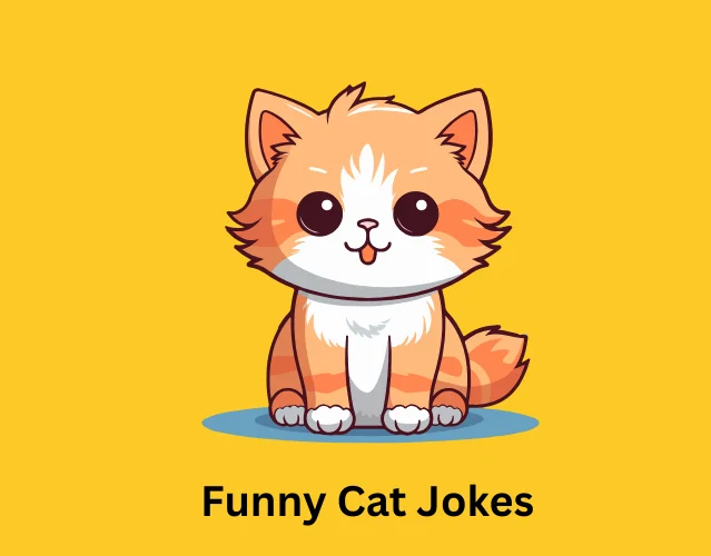 Funny Cat Jokes