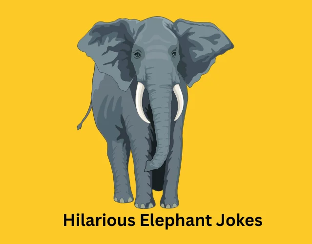 Hilarious Elephant Jokes