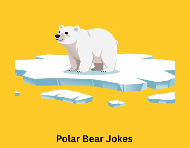 Polar Bear Jokes