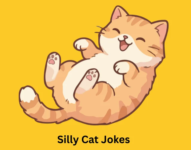 Silly Cat Jokes