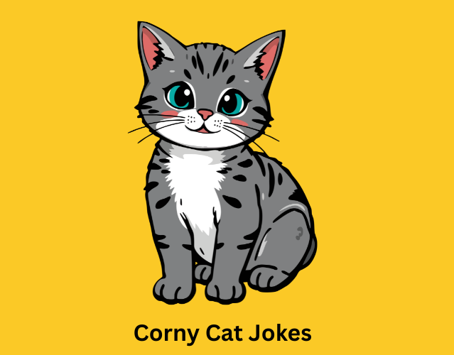 corny cat jokes