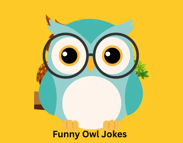 Funny Owl Jokes
