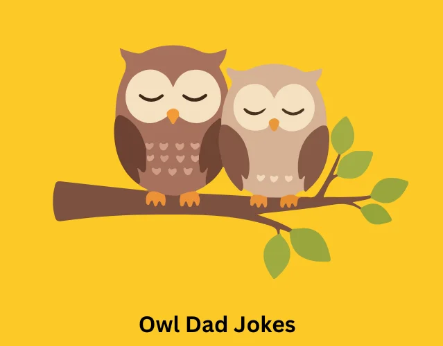 Owl Dad Jokes