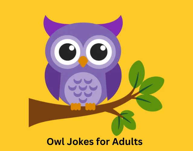 Owl Jokes for Adults