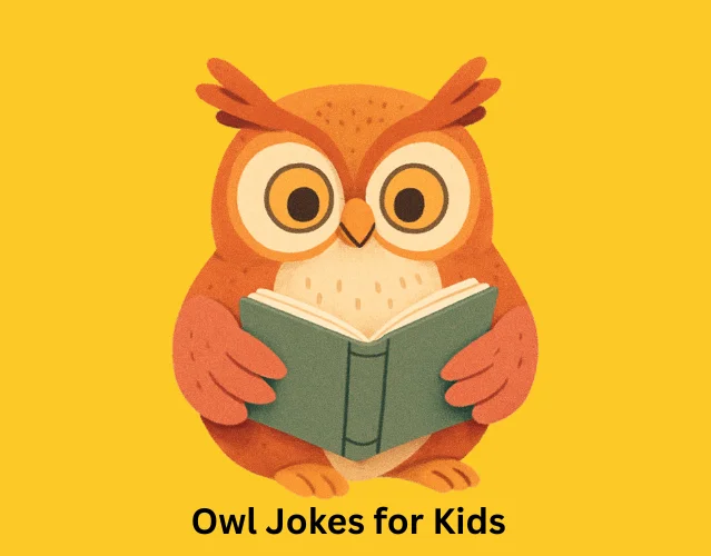 Owl Jokes for Kids