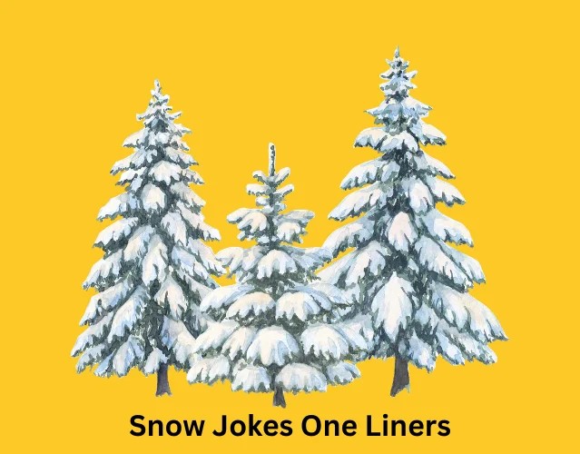 Snow Jokes One Liners