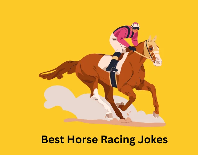 Best Horse Racing Jokes