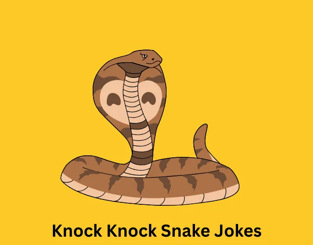 Knock Knock Snake Jokes