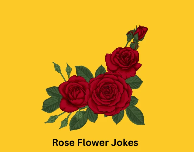 Rose Flower Jokes
