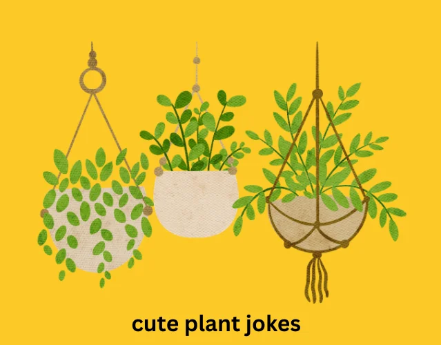 Cute Plant Jokes