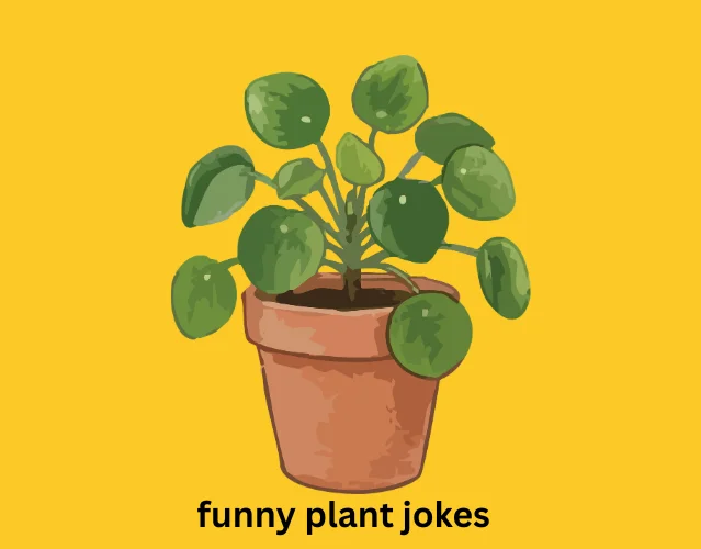 Funny Plant Jokes