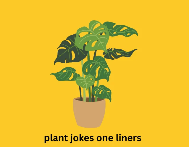 Plant Jokes One Liners
