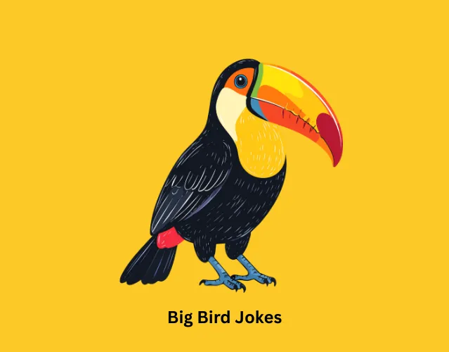 Big Bird Jokes