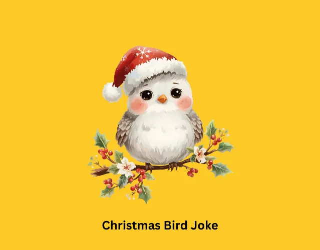 Christmas Bird Joke