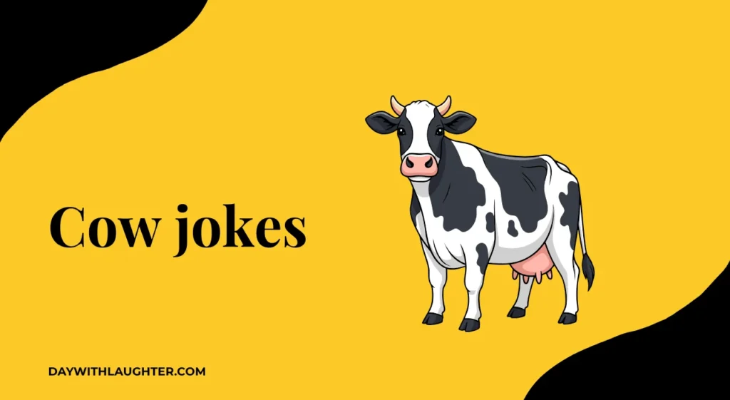 Cow jokes