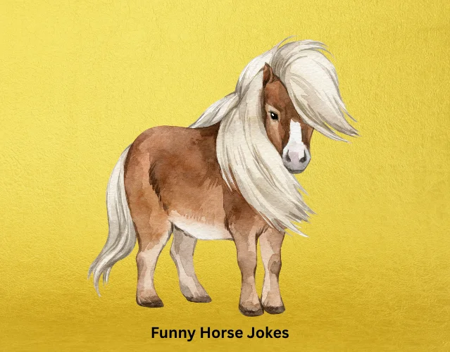 Funny Horse Jokes