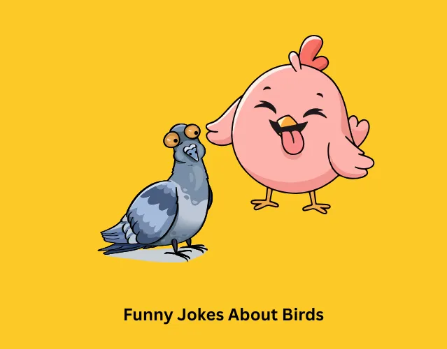 Funny Jokes About Birds