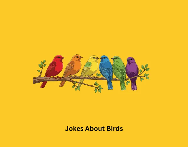 Jokes About Birds 1