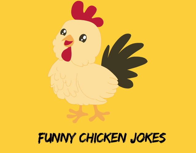funny chicken