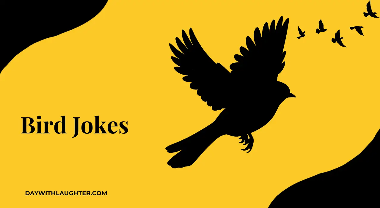 Bird Jokes