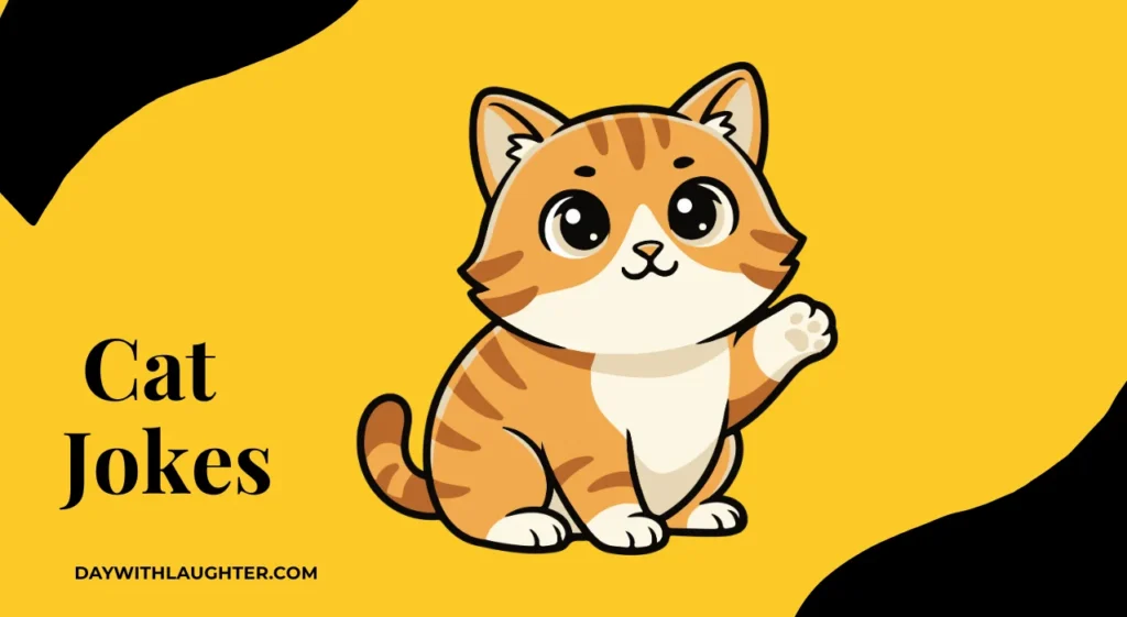 Cat Jokes