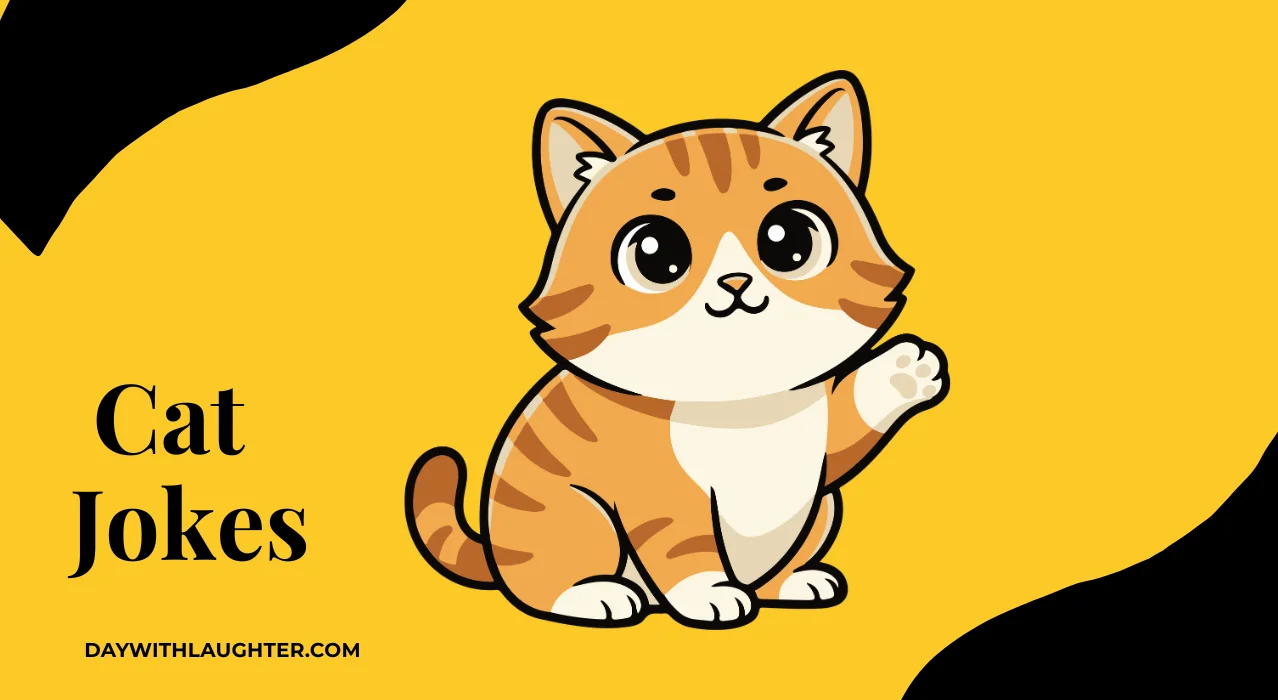 Cat Jokes