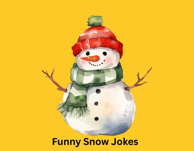Funny Snow Jokes