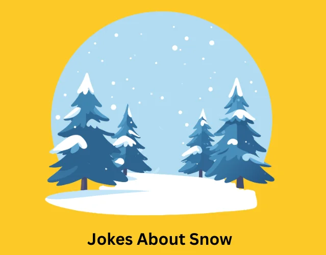 Jokes About Snow