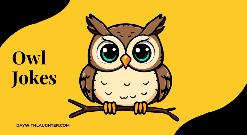 owl jokes
