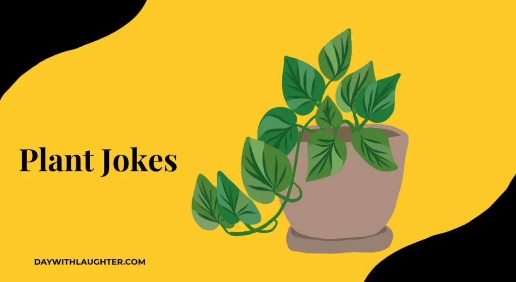 Plant jokes